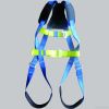 Full Body Harness