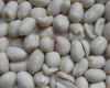 blanched peanut 36/41