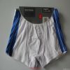 men's briefs