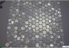 Circle white river shell  mosaic tile