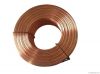 Brass plated steel wire