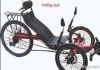 Folded Recumbent Trike