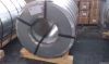 Pre-painted hot dipped galvanized steel coil (PPGI)