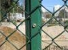 Galvanized and PVC coated chain link fence(diamond wire mesh
