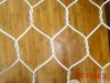 Galvanized or PVC coated hexagonal wire mesh