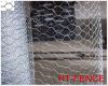 Galvanized or PVC coated hexagonal wire mesh