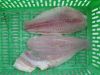 Pangasius Fillet