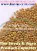 Alfalfa Seeds  ( Lucer...