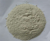 Shell powder