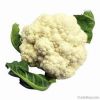 Fresh Cauliflower