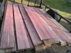 Aromatic Eastern Red C...