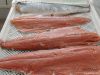 Frozen Seafood And Fish | Mackerel Fish | Salmon Fish | Ribbon Fish