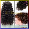 wholesale brazilian virign human kinky curly hair extension