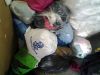 Credential Clothing
