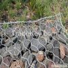 Galvanized Chicken Wire Mesh / Hexagonal Wire Mesh