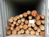 Pine/Eucalyptus Logs