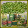 canned sweet corns/canned sweetkernel corns/canned sweet corn kernels