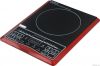 Induction Cooker with POT