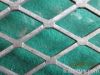 Exopanded metal mesh