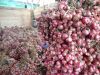 Fresh Red Onion from I...