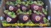 SELL MANGOSTEEN
