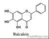100% natural scutellaria baicalensis extract (*****)