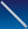 T5 Fluorescent light