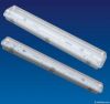 T5 Fluorescent light