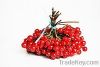 viburnum dried fruit