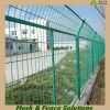 galvanized/pvc coated welded mesh fence(BV SGS Factory)