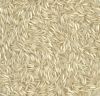 RICE SUPPLIER| PARBOIL...