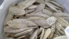 Cuttlefish bone dried