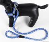 hot sell durable pet leash, pet collar and pet leads
