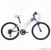 High-end Aluminum Alloy Mountain Bike, 24 x 1.95 Inches Tire