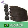Brazilian Virgin Hair