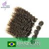 Deep wave Brazilian Virgin Hair 