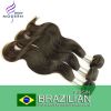 Brazilian Human Hair Extension (High Quality Virgin)