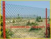 Galvanized chain link fence