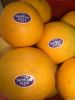 Fresh Oranges (Valenci...