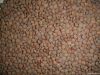 red lentils importers,red lentils buyers,red lentils importer,buy red lentils,red lentils buyer,import red lentils,red lentils suppliers,