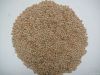 red lentils importers,red lentils buyers,red lentils importer,buy red lentils,red lentils buyer,import red lentils,red lentils suppliers,