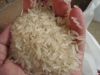 RICE SUPPLIER| PARBOIL...