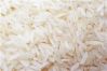 Rice | Rice Exporter |...