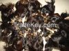 virgin remy human hair , brazilian hair, peruvian hair , indian hair