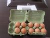Simple-operation egg t...