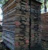 Beech unedeged timber