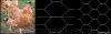 Chicken Wire Fencing