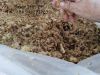 Pineapple Silage for a...