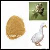 feed grade choline chl...