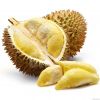 fresh durian